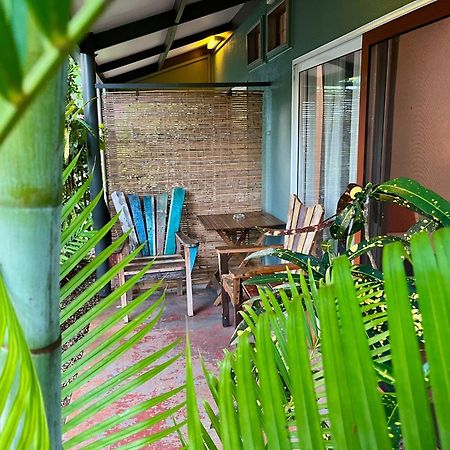 מישן ביץ' Rainforest Motel מראה חיצוני תמונה