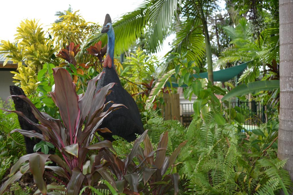 מישן ביץ' Rainforest Motel מראה חיצוני תמונה