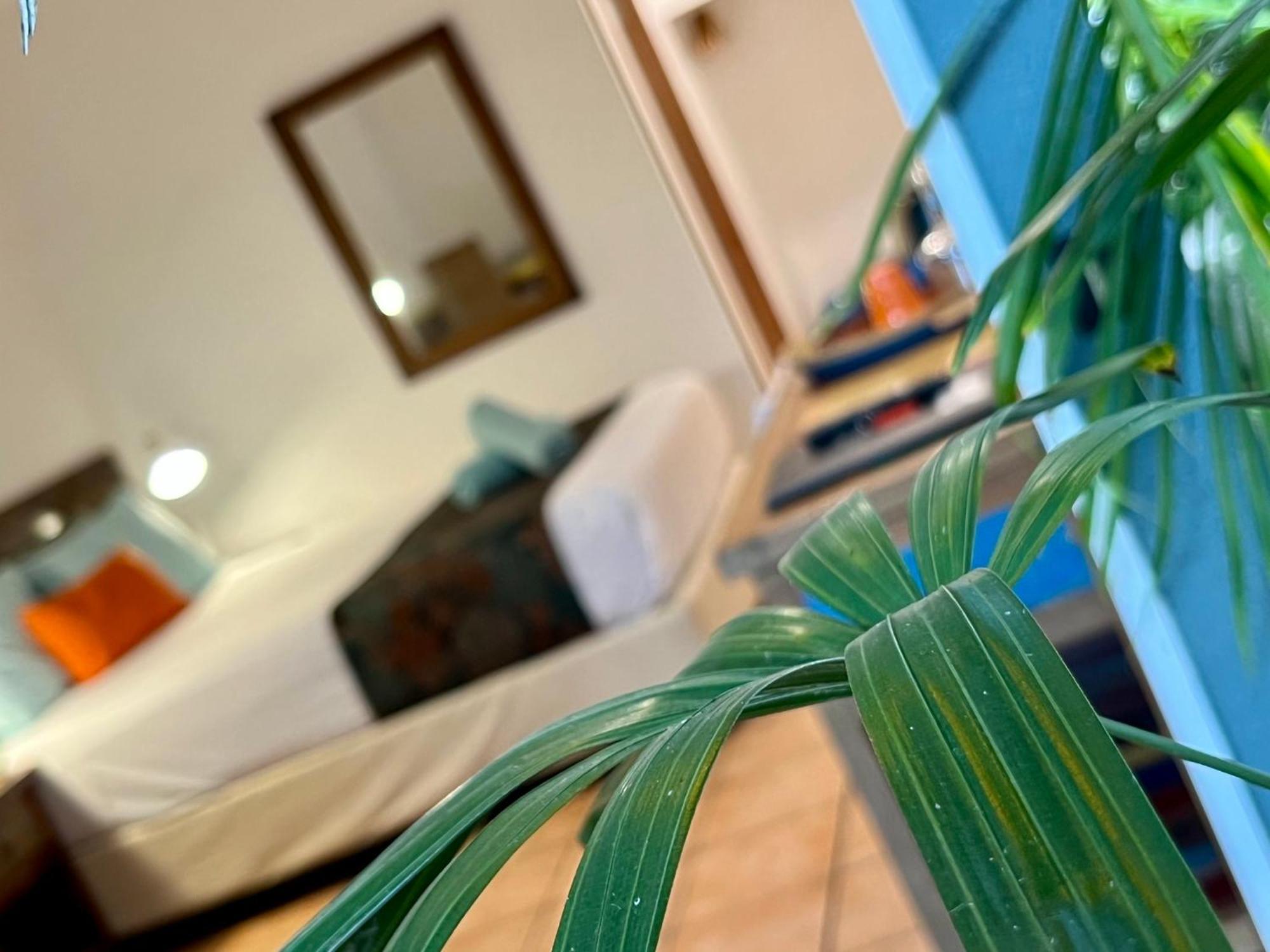 מישן ביץ' Rainforest Motel מראה חיצוני תמונה